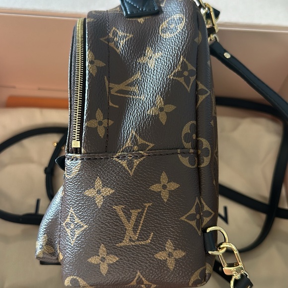 Louis Vuitton Palm Springs Mini Backpack - Picture 2 of 5